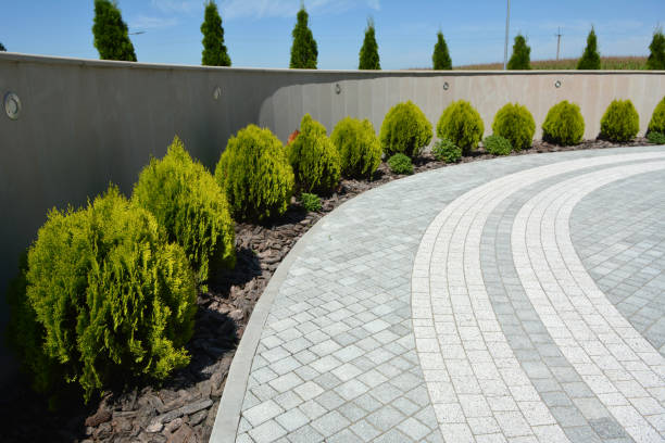 Best Driveway Paving Near Me  in Riviera Beach, MD